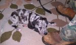 MG_52971204894136.jpg