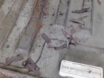 old ugly gasket.jpg old ugly gasket.jpg