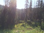 ImageUploadedByTapatalk1407856600.854900.jpg ImageUploadedByTapatalk1407856600.854900.jpg