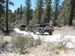 40 Trail ride lead vehicles.jpg