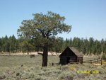 50 Trail ride - Bellville Van Dusen Cabin.jpg