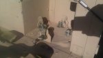 IMAG0404.jpg IMAG0404.jpg
