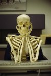 Skeleton.jpg
