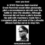 Rommel- Did you I.jpg