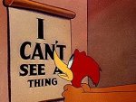 Cant see.jpg