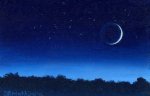 Night.jpg