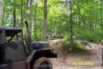 haspin_08_010_708.jpg