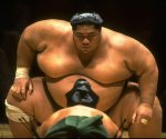 Sumo_wrestler.jpg
