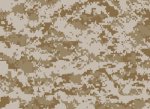 Desert Digital Camo.jpg