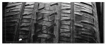 imagesWLinks.gif