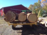 poplar logs2 M200.jpg