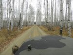 PA190525.jpg