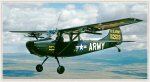 L-19-Bird dog-best-w-brdr.jpg