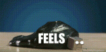 The_Feels.gif