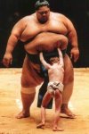 sumo showdown.jpg