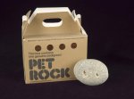 pet rock.jpg