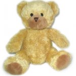 bear.jpg