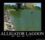 alligator.jpg