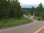 Jeeps in the Canadian Country side.jpg