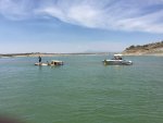 IMG_0008.jpg