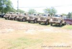 maddog_murray_005_small_130.jpg