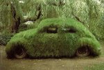 Moss Car.jpg