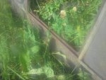 20160824_172733.jpg