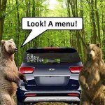Bear food.jpg