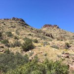 IMG_0435.jpg