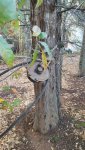20161113_165644.jpg