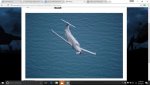 U-28A.jpg U-28A.jpg