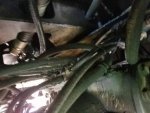 20170328_160530.jpg