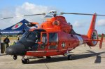 sm Coast Guard MH-65 Dolphin 01.jpg