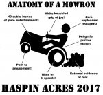 Haspin17ShirtBack.jpg