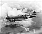 P-40 TP-40 H80.jpg