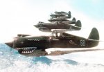 AVG-shark-mouth-P-40Bs.jpg