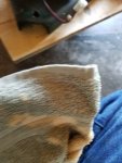 20170725_172417.jpg