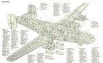 B-24-Cutaway-Labels.jpg