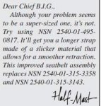Seatbelts.jpg