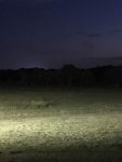 IMG_7091.jpg