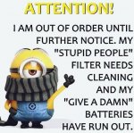 Minions Stupid People.jpg