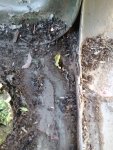 20171124_153806.jpg 20171124_153806.jpg