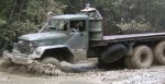 playing_in_the_swamp_012_611.jpg