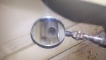 20180523_151424 lightened.jpg