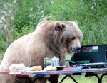 Papa Bear Lunch.jpg
