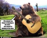Bear guitar.jpg