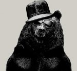 CoolBear.jpg