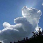 Papa Bear Cloud.jpg