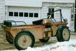 coot side_view_snow.jpg