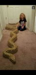 snake.jpg